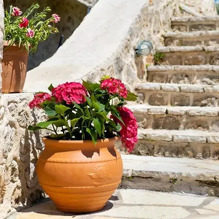 Gkountis Appartement Tsoukaládhes