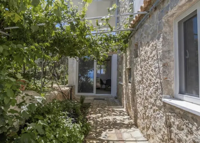 Gkountis * Цукаладес